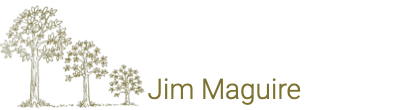 Jim Maguire Associates Ltd